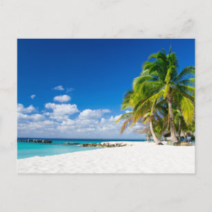 Carte postale - Sous le soleil des tropiques