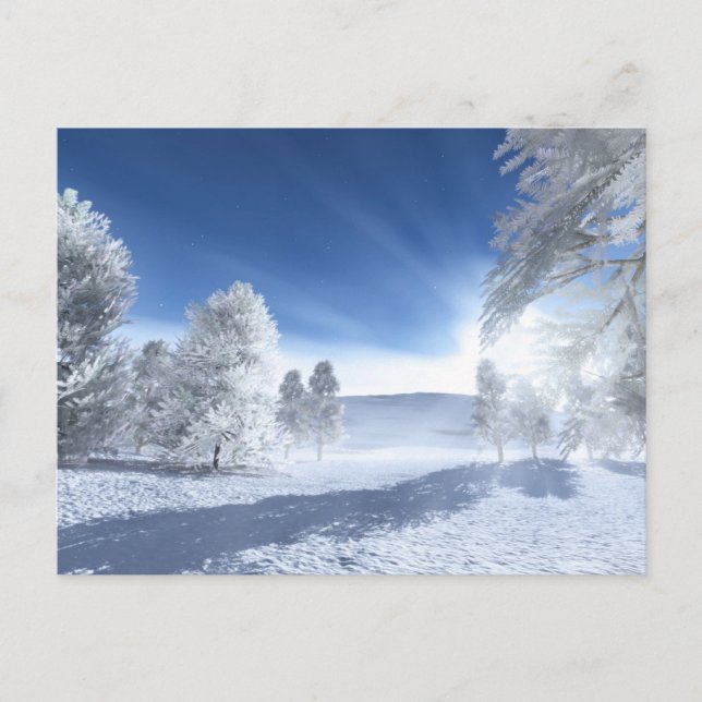Carte Postale Sous le soleil d'hiver (Devant)