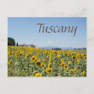 Carte Postale Sous le soleil toscan