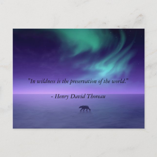 Carte Postale Sous les cieux magiques (Devant)