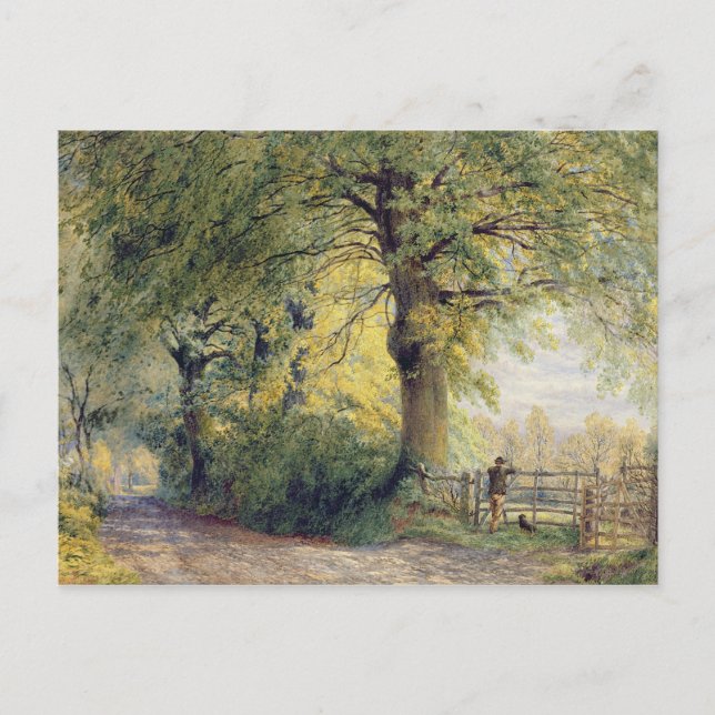 Carte Postale Sous les hêtres (Devant)