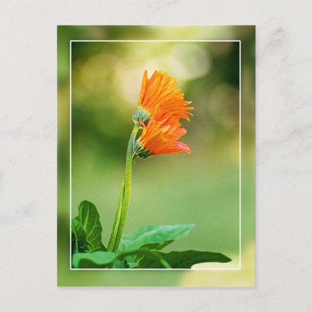 Carte Postale Soutenez-vous (Devant)