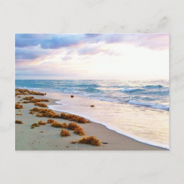 Carte Postale South Beach Miami (Devant)