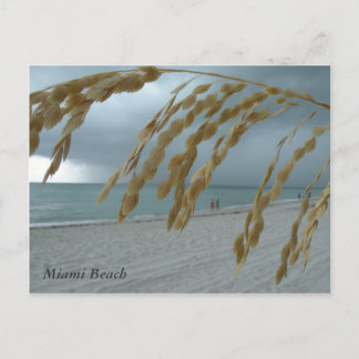 Carte postale South Beach Miami