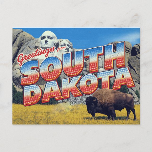 Carte Postale South Dakota Mount Rushmore Bison (Devant)
