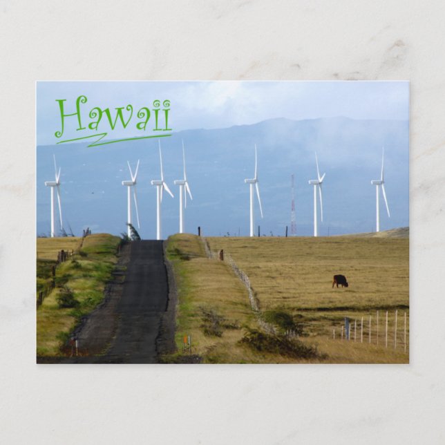 Carte Postale South Point, Hawaii (Devant)