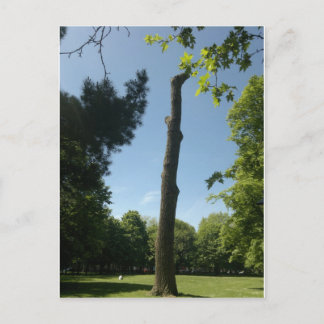 Carte Postale Southampton (Hoglands Park)