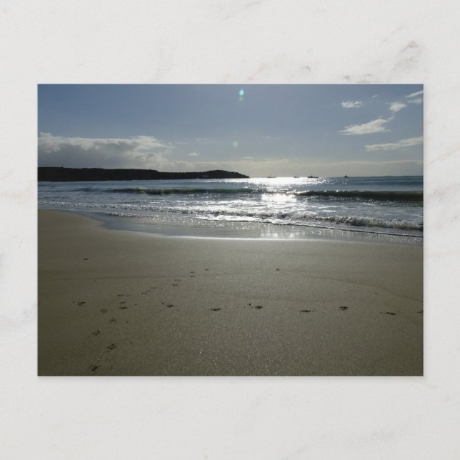 Carte Postale Southend Sparkle (Devant)