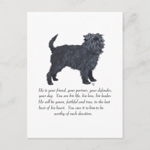 Carte Postale Souvenir Affenpinscher