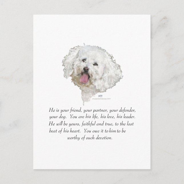 Carte Postale Souvenir, Chien Mâle (Devant)