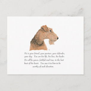 Carte Postale Souvenir d'Airedale, Welsh, Lakeland Terrier