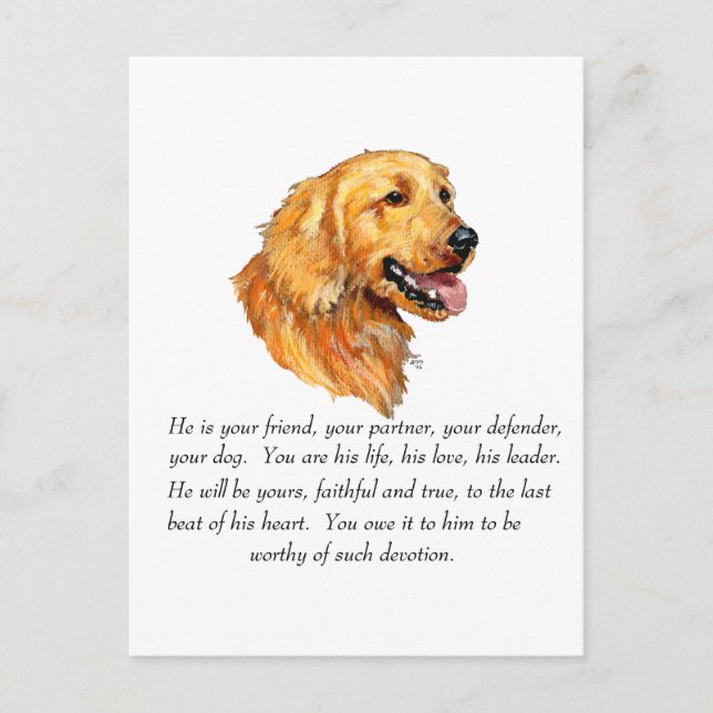 Carte Postale Souvenir Golden Retriever (Devant)