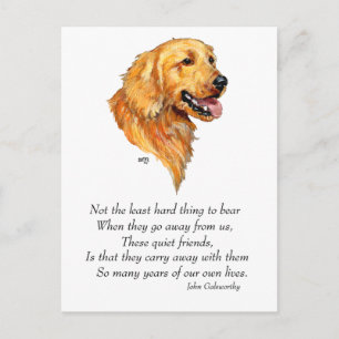 Carte Postale Souvenir Golden Retriever