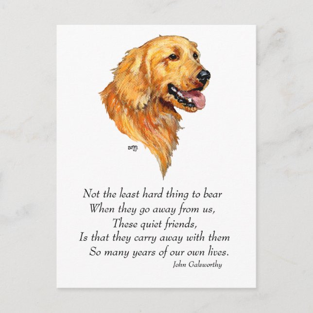 Carte Postale Souvenir Golden Retriever (Devant)