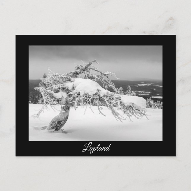 Carte postale souvenir hivernale de la Laponie (Devant)