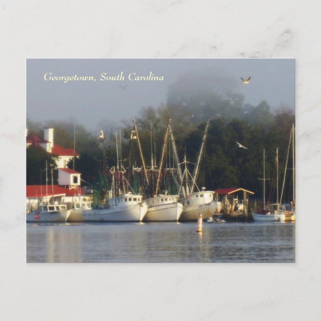 Carte postale souvenir pour les crevettes de Georg (Devant)