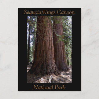 Carte Postale Souvenir Sequoia Kings Canyon Parc national