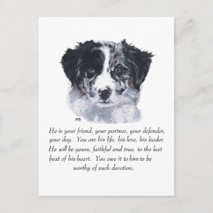 Carte Postale Souvenirs Border Collie
