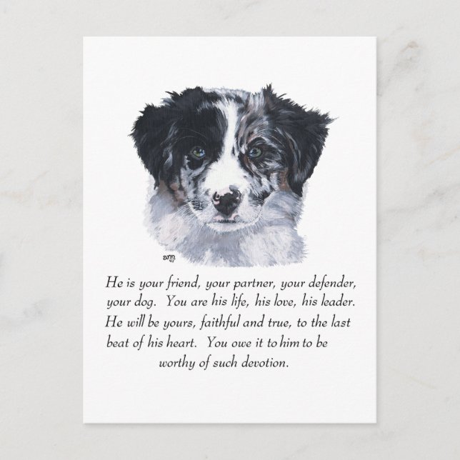 Carte Postale Souvenirs Border Collie (Devant)