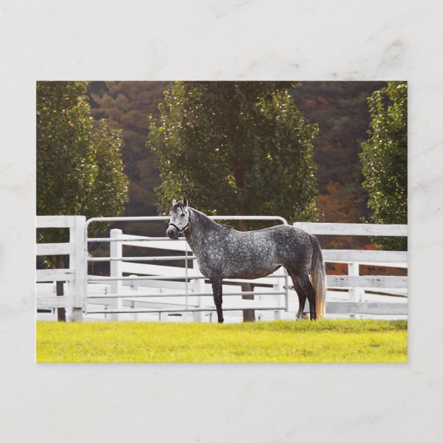 Carte Postale Soyez fier (Devant)