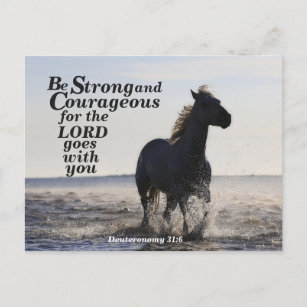 Citations Cheval Posters Affiches Zazzle