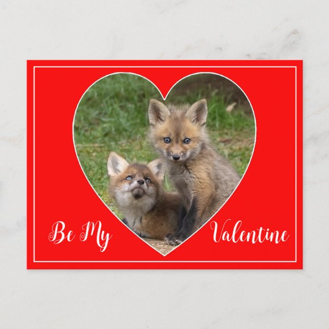 Carte Postale Soyez mes Renards Valentin (Devant)