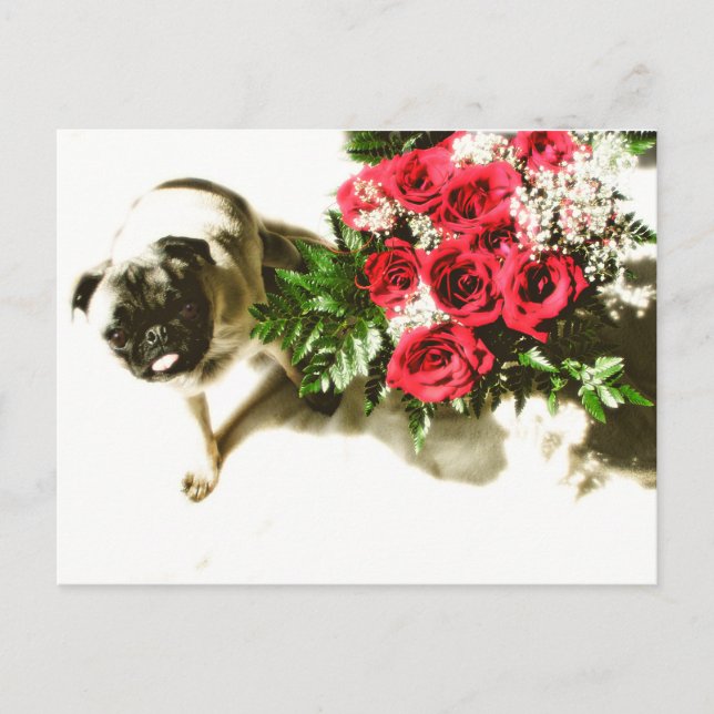 Carte Postale Soyez miennes (Devant)