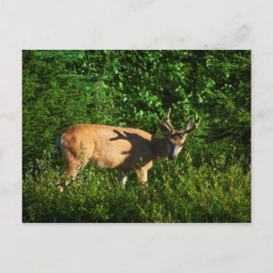 Carte Postale Soyez sur votre chemin