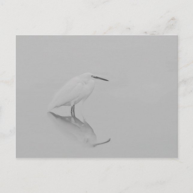 Carte Postale Soyez toujours Egret (Devant)