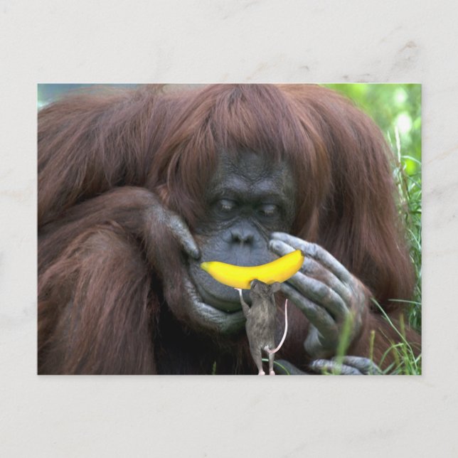 Carte Postale Soyons Amis ! ? (Devant)