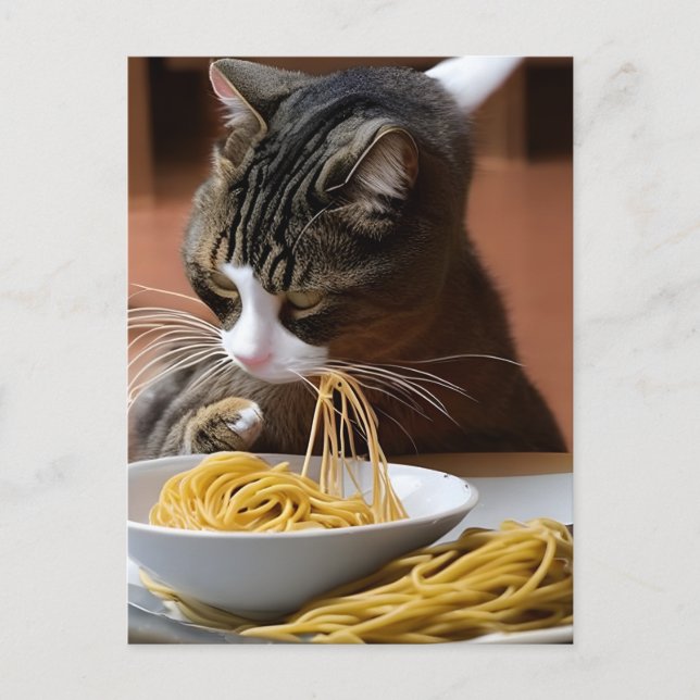 Carte postale Spaghetti pour manger des chats (Devant)