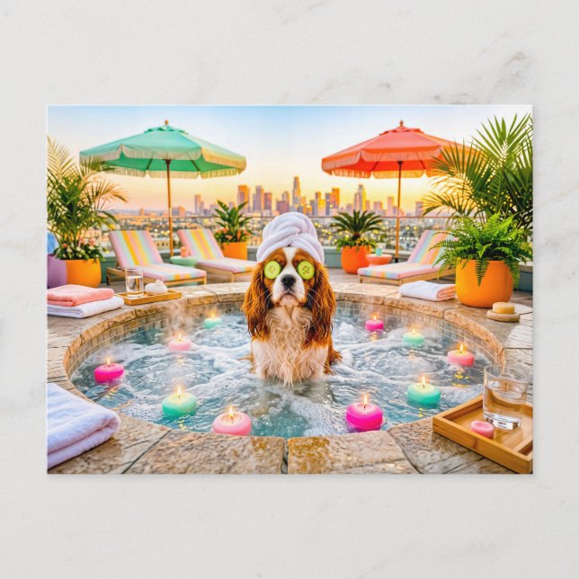 Carte Postale Spaniel dans un bassin de bien-être (Devant)