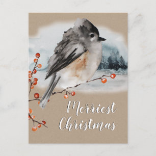 Carte Postale Sparrow d'hiver Ilex Berries Branch Woodland Scene
