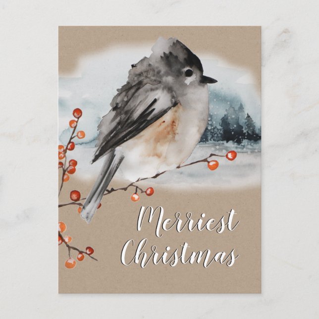Carte Postale Sparrow d'hiver Ilex Berries Branch Woodland Scene (Devant)