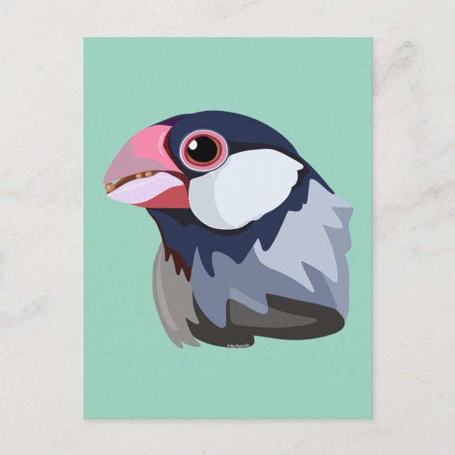 Carte Postale Sparrow Java simplifié (Devant)