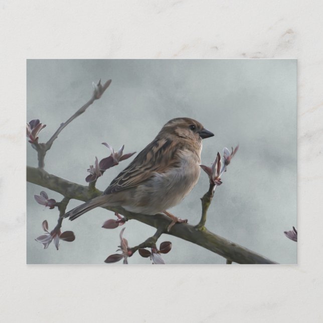 Carte Postale Sparrow on Branch (Devant)
