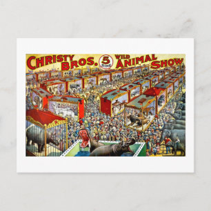 Carte Postale Spectacle animal sauvage de Christy - Vintage