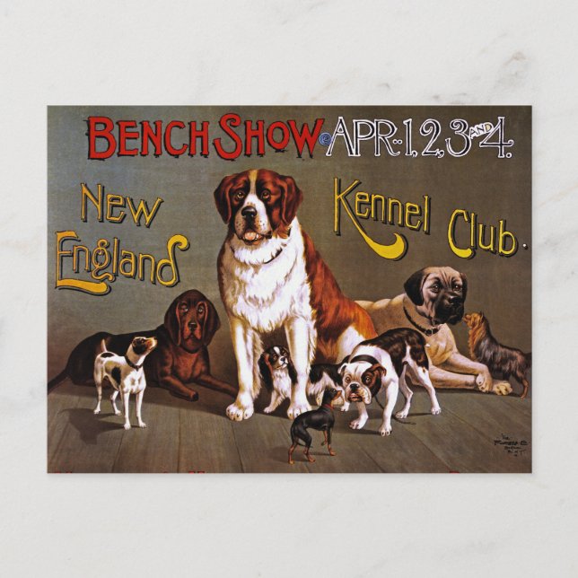 Carte postale : Spectacle de chiens : Salon de ban (Devant)