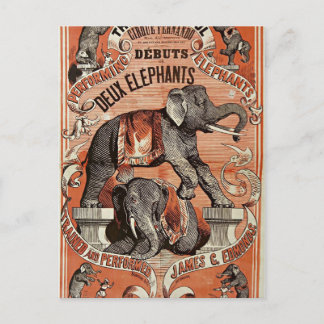 Carte postale spectacle d'éléphants de cirque vint