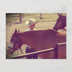 Carte Postale Spectacle hippique