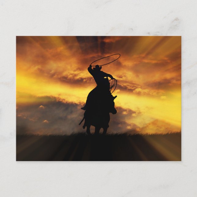 Carte Postale Spectaculaire Roping Horse Steer et Sunset (Devant)