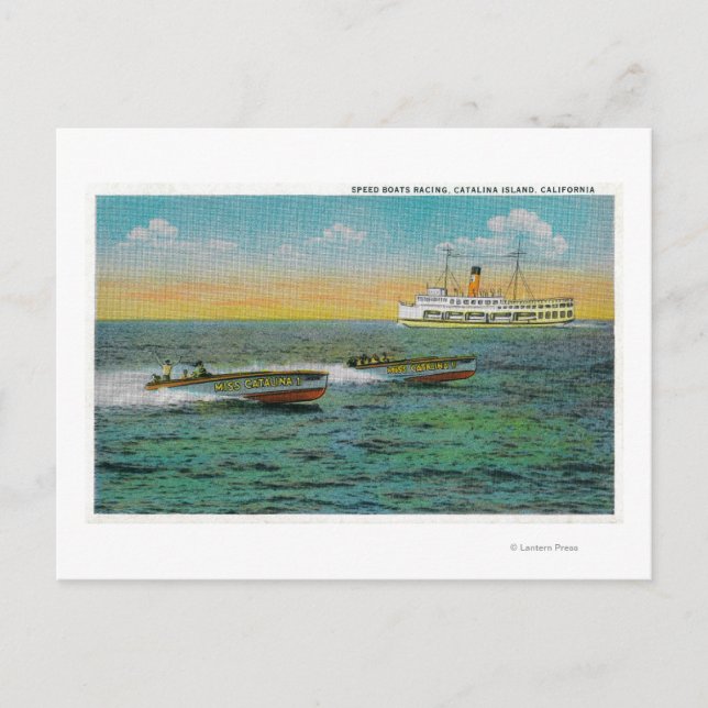 Carte Postale Speed Boating en Catalina Island, Californie (Devant)