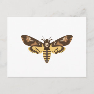 Carte Postale Sphinx à tête de mort