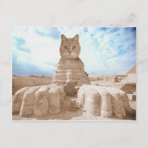 Carte Postale SphinxCat