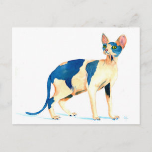 Carte Postale Sphynx Cat 5