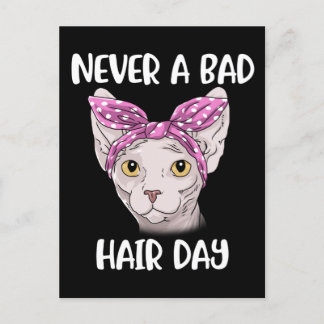 Carte Postale Sphynx Cat Toxits For Women And Men Sphynx Cat