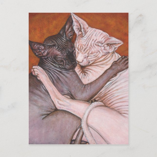Carte Postale Sphynx Sphinx Cat Cats Heure de la sieste (Devant)