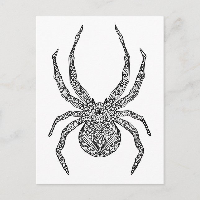 Carte Postale Spider Doodle (Devant)