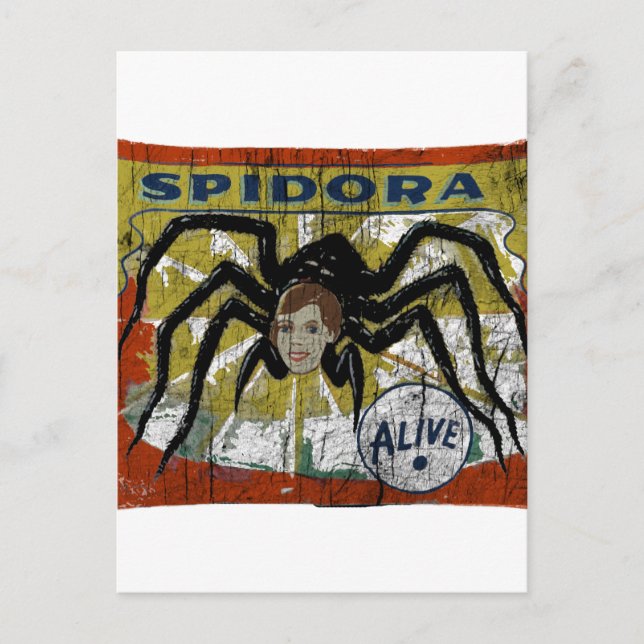 Carte Postale Spidora (Devant)