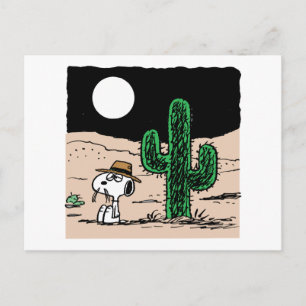 Carte Postale Spike dans un désert illuminé par la Lune